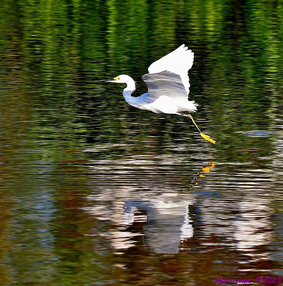 DSC_3938_001.JPG
