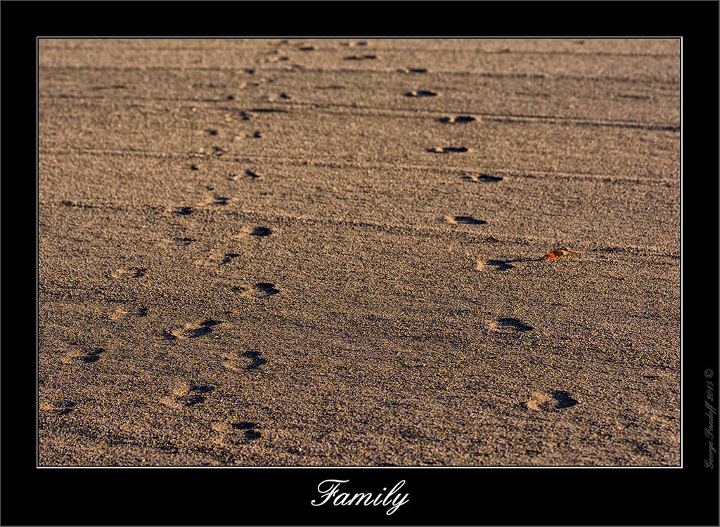DSC_3940.jpg