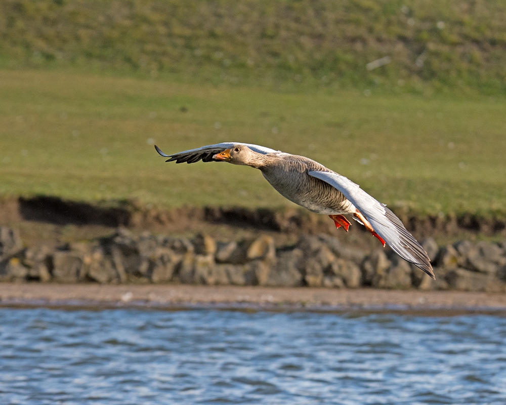 DSC_3944.jpg