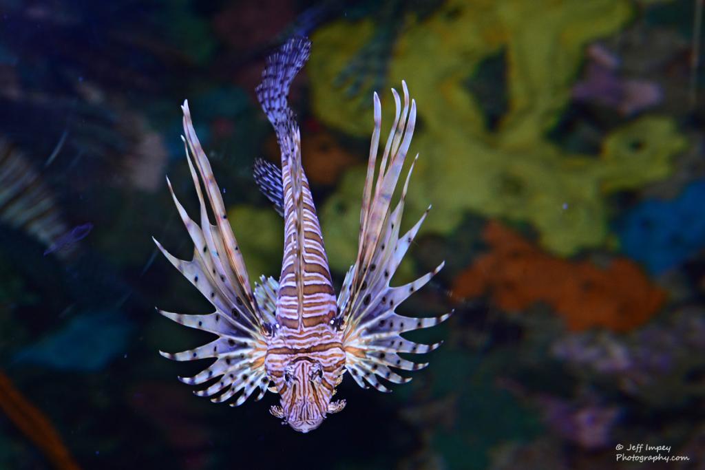 DSC_3944.jpg
