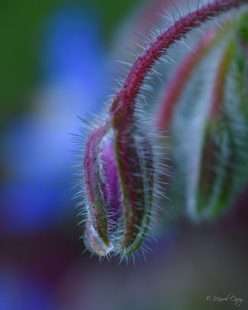 DSC_3945.jpg