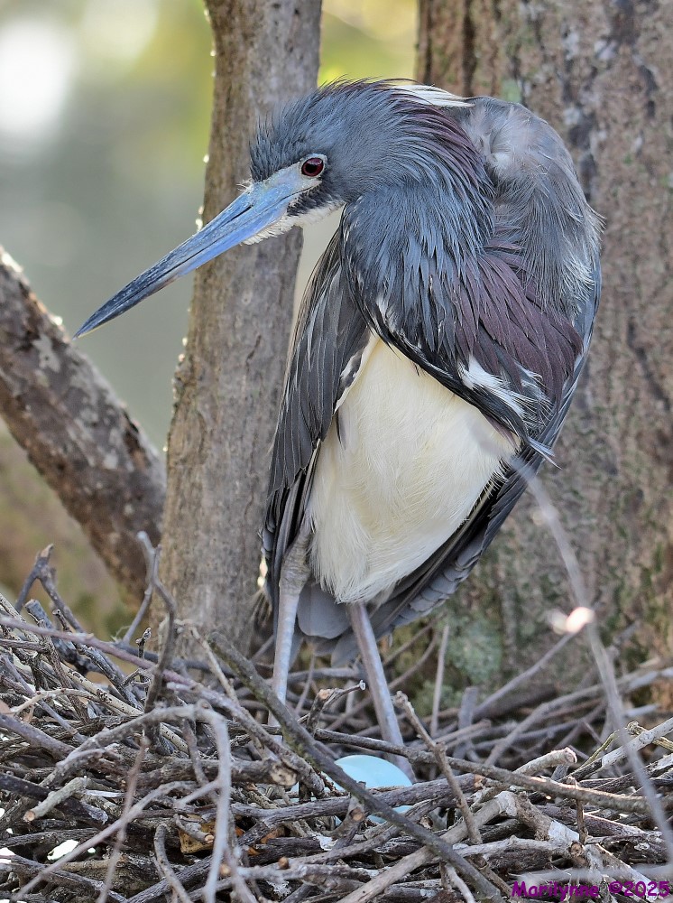 DSC_3946_001.JPG