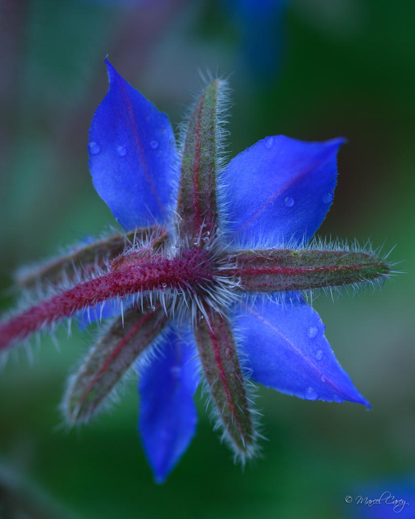 DSC_3948.jpg