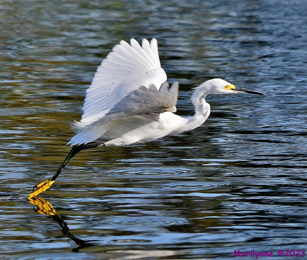 DSC_3952_001.JPG