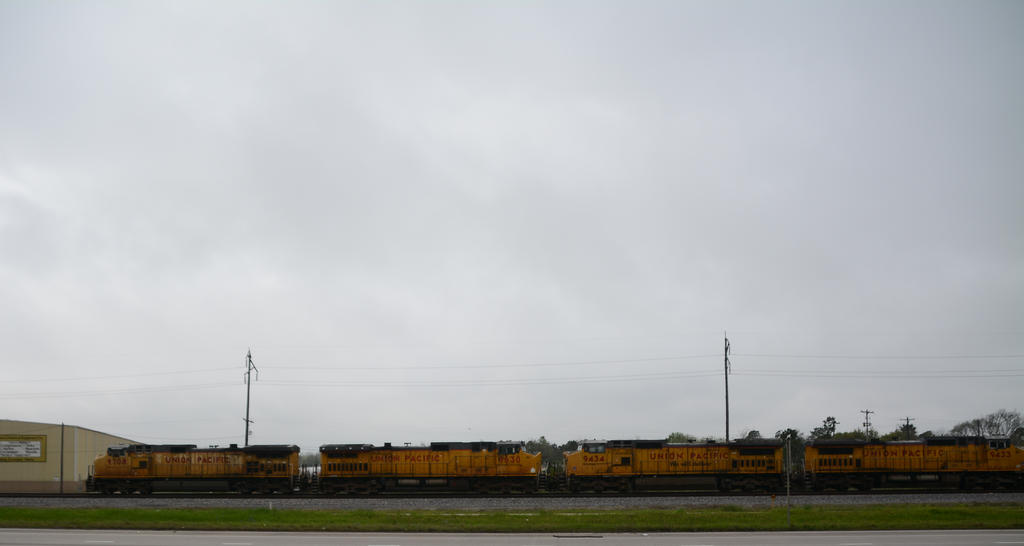 DSC_3953.jpg
