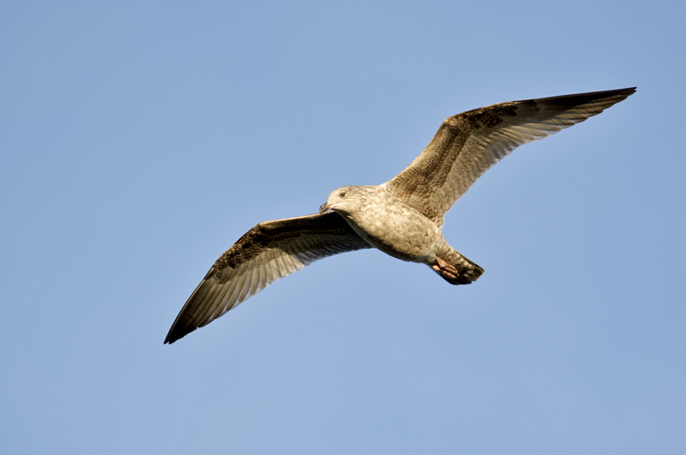 DSC_3953.jpg