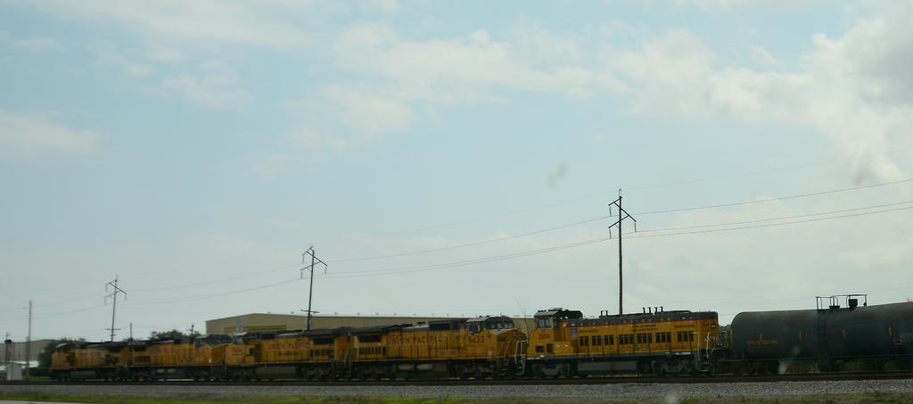 DSC_3955.jpg