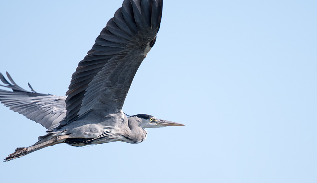 DSC_3955.jpg