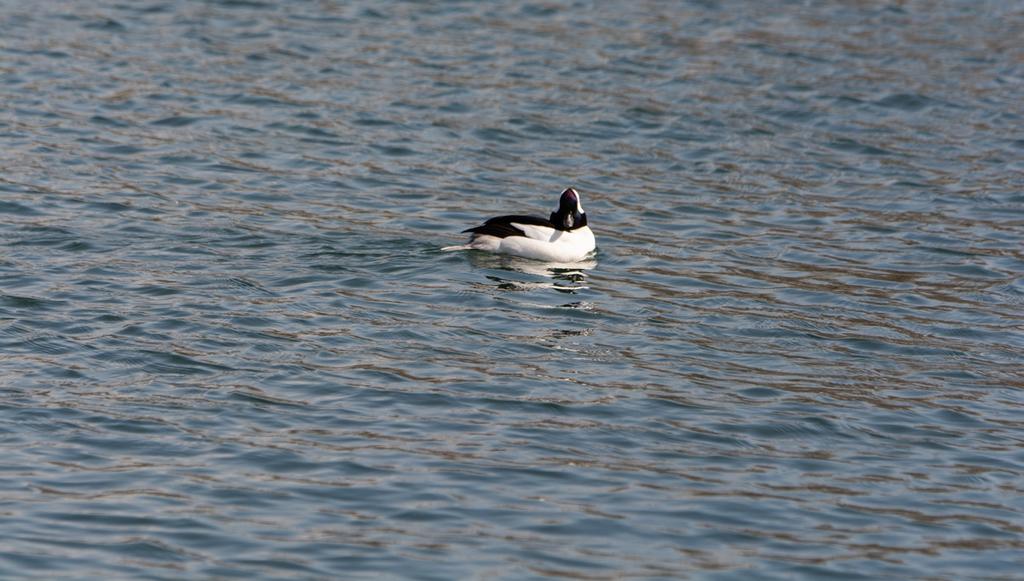 DSC_3957.jpg