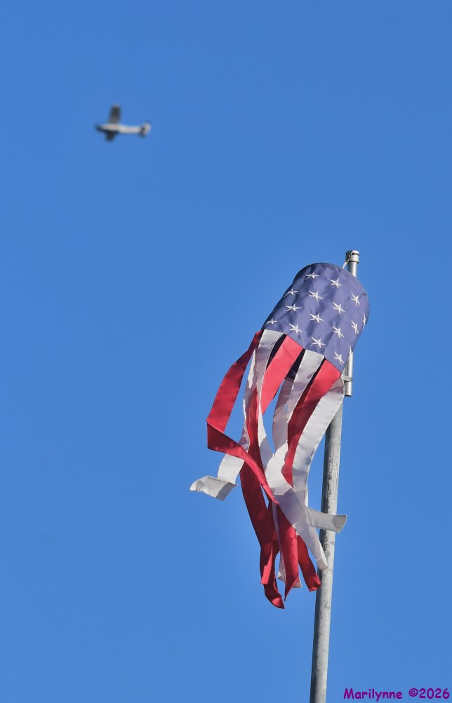 DSC_3958_001.JPG