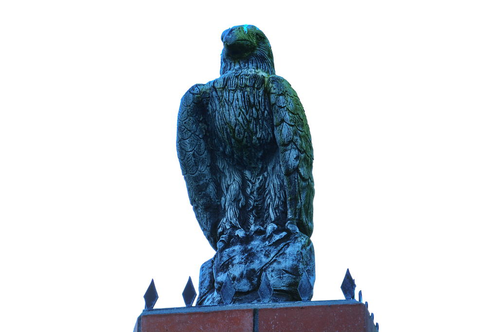 DSC_3960.jpg