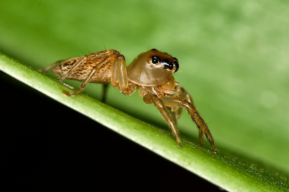 DSC_3963.jpg