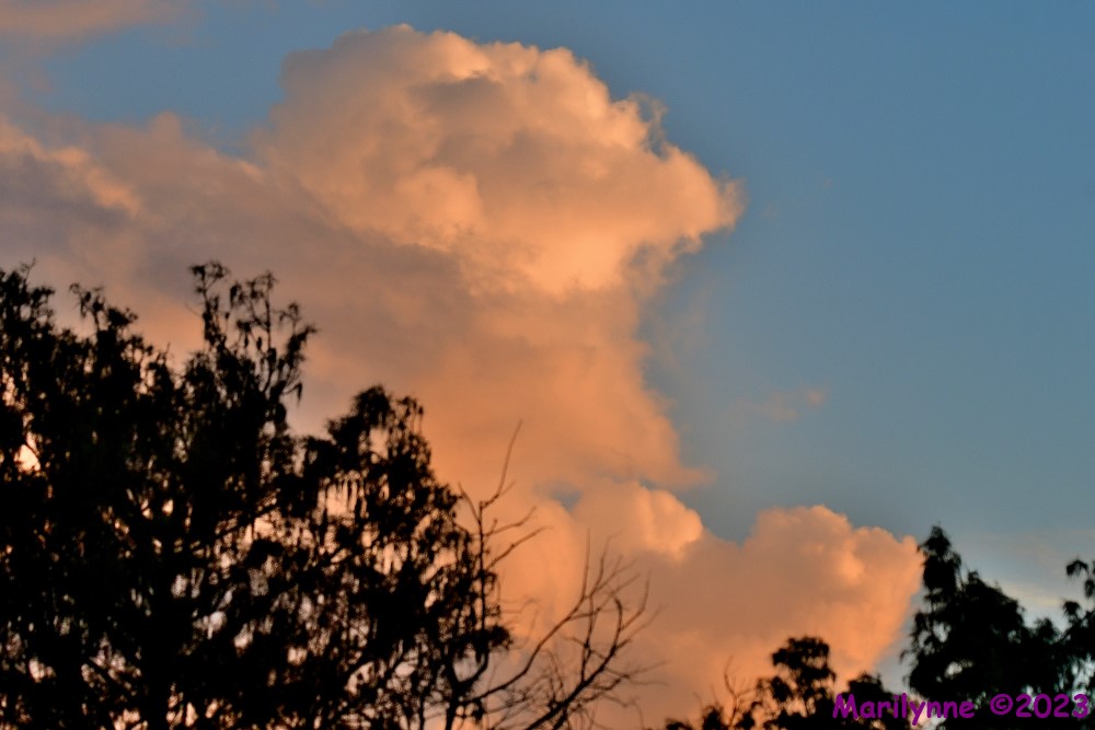 DSC_3967_001.JPG