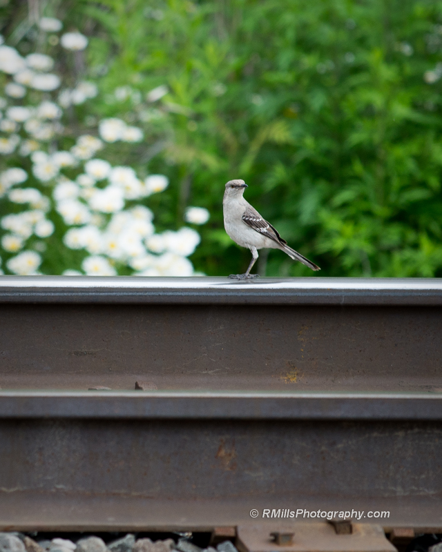 DSC_3967_6729.jpg