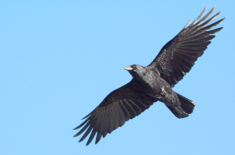 DSC_3970.jpg