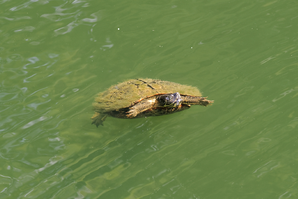 DSC_3974_DxO.jpg