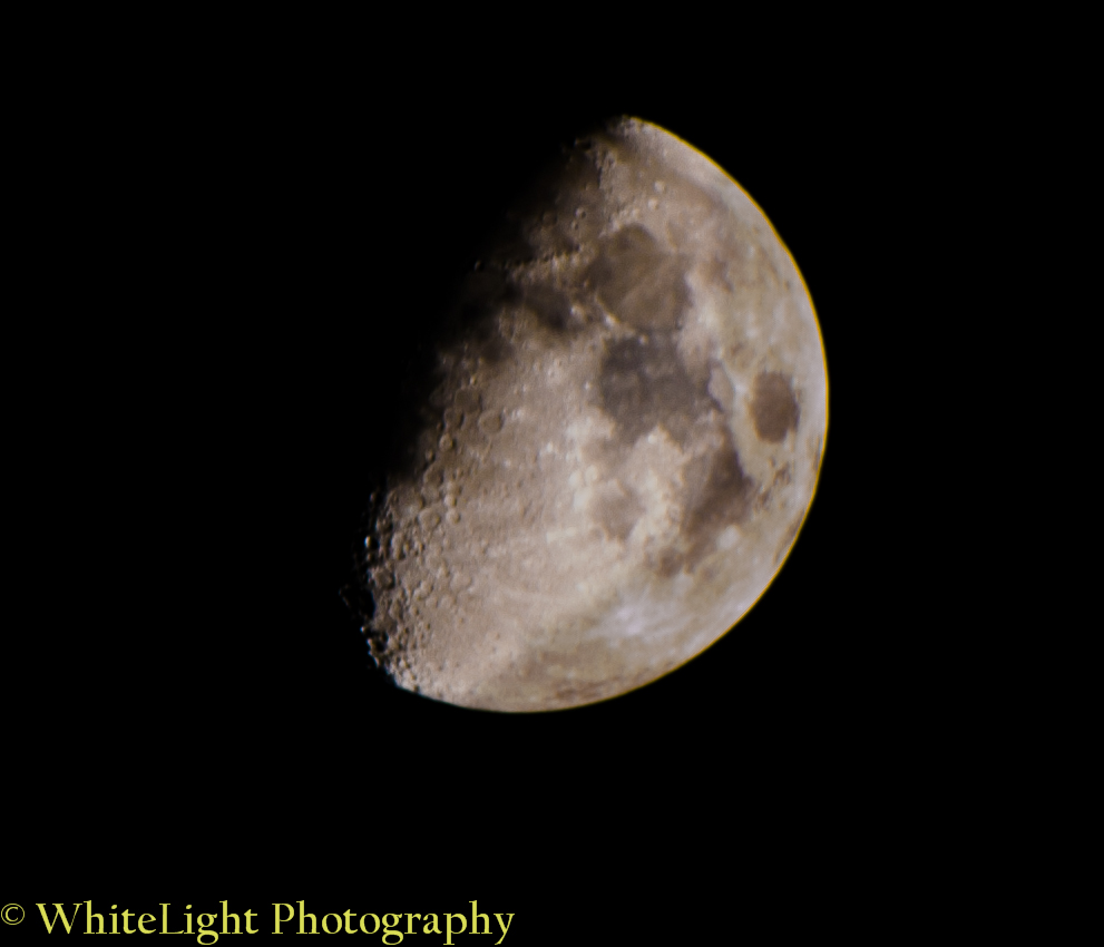 DSC_3978.jpg