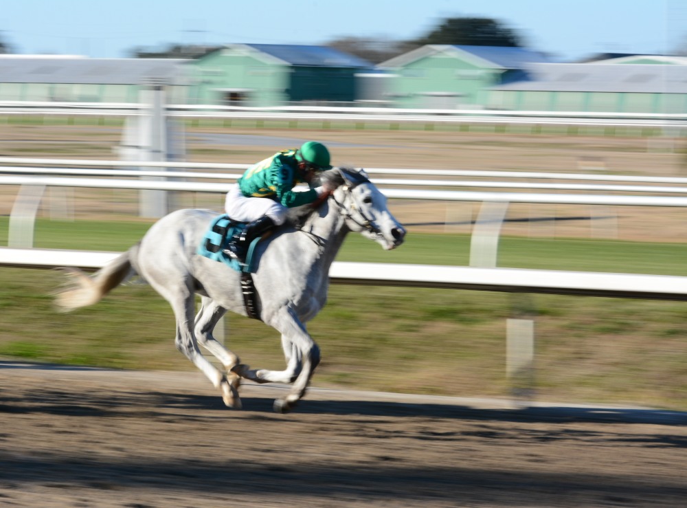 DSC_3981.JPG