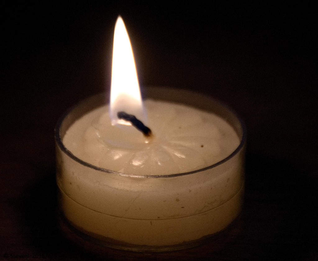 DSC_3984.jpg