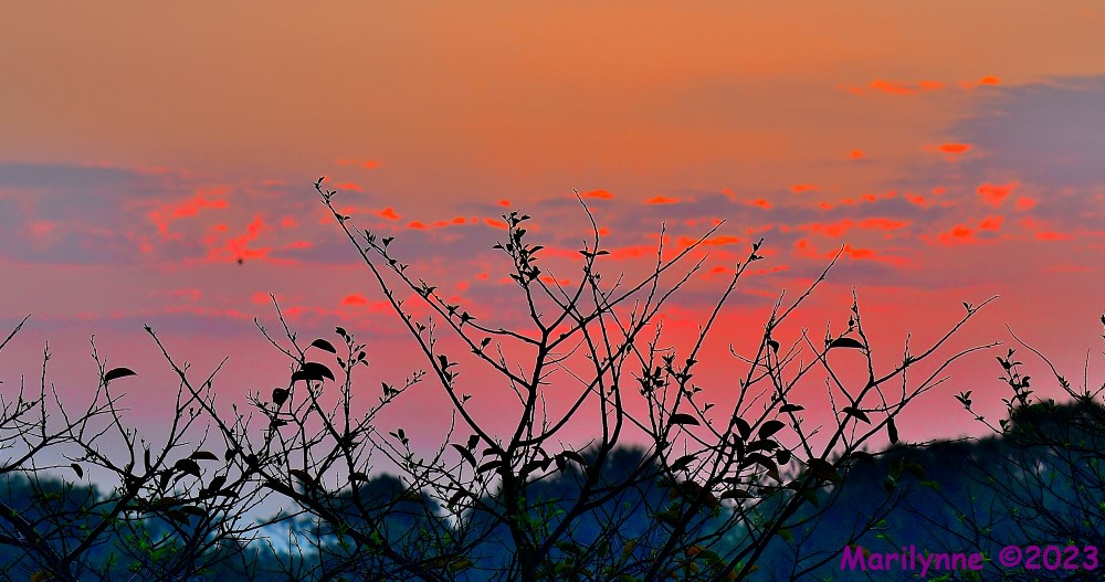 DSC_3984_001.JPG