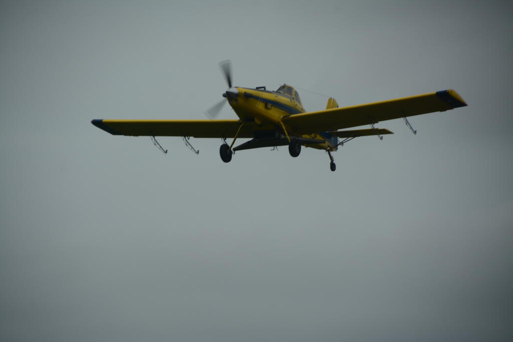 DSC_3986.jpg