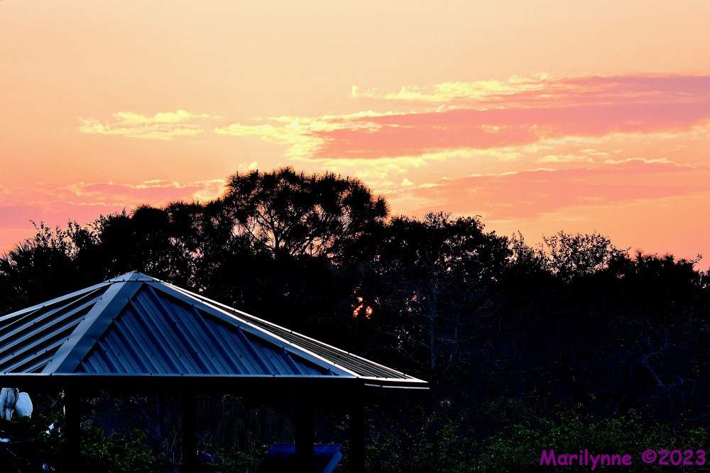 DSC_3988_001.JPG