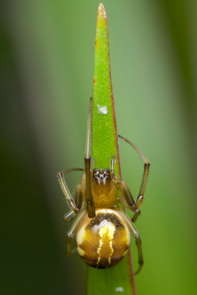 DSC_3989.jpg