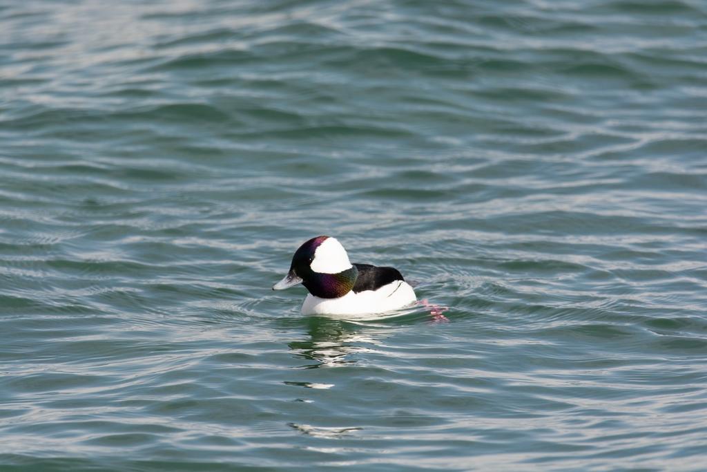 DSC_3991.jpg