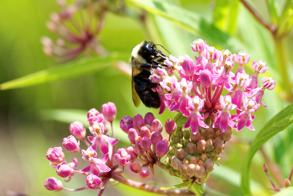 DSC_3993_DxO.jpg