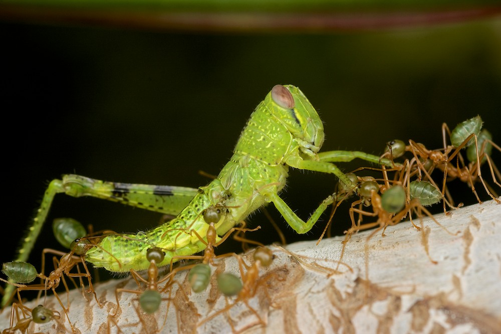 DSC_3995.jpg