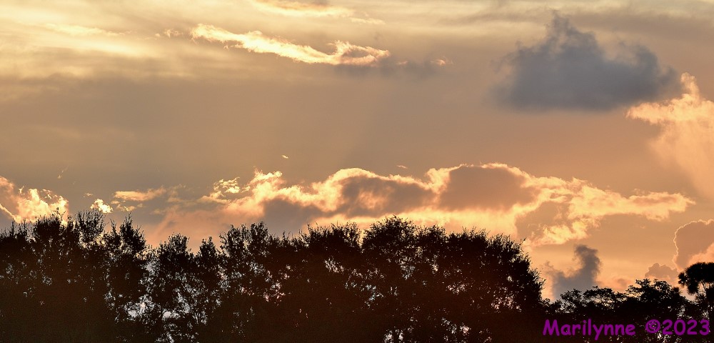 DSC_3995_001.JPG