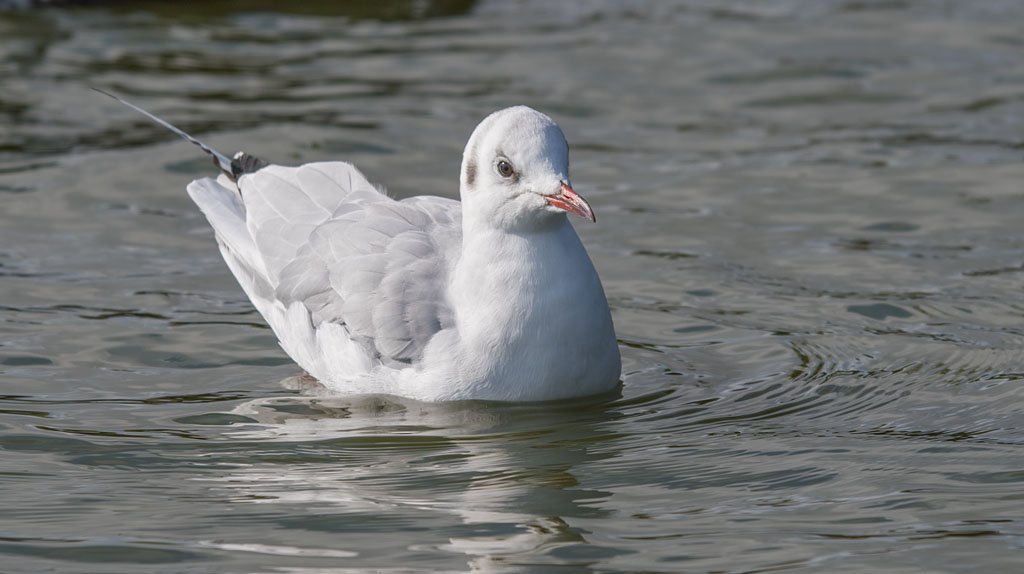 DSC_3998.jpg