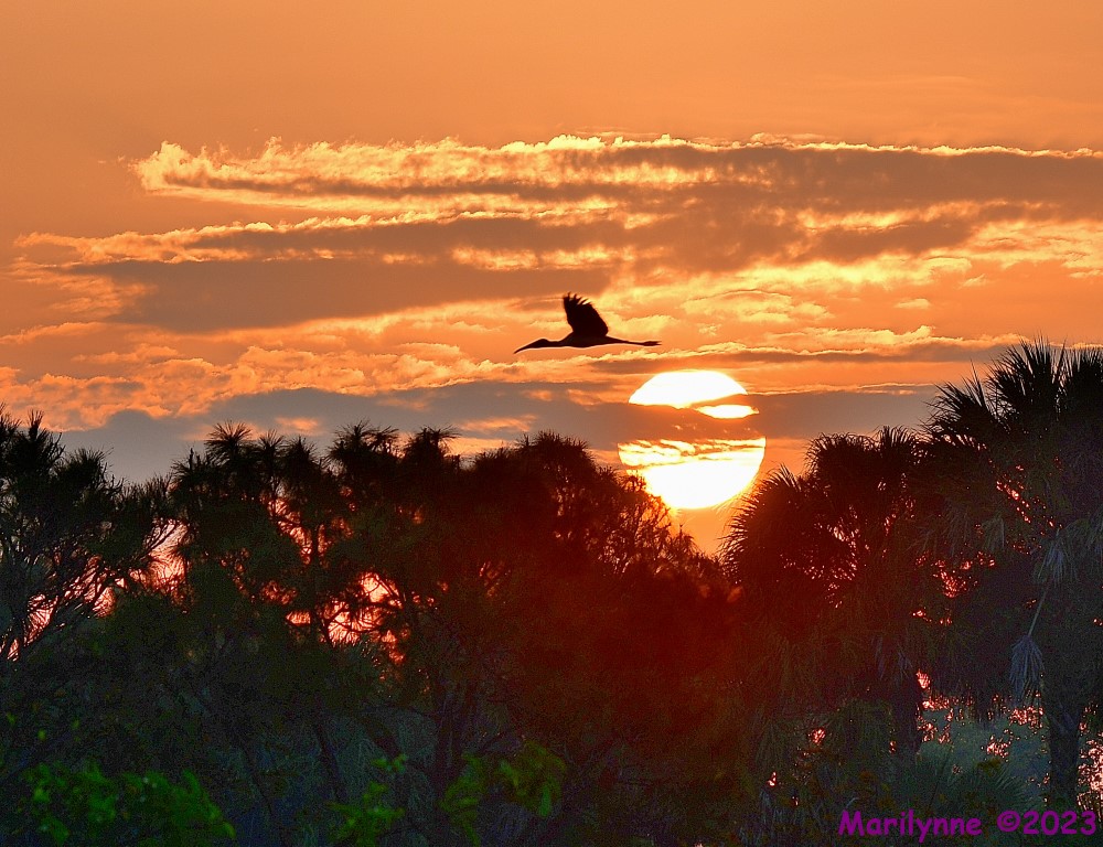 DSC_3999_001.JPG