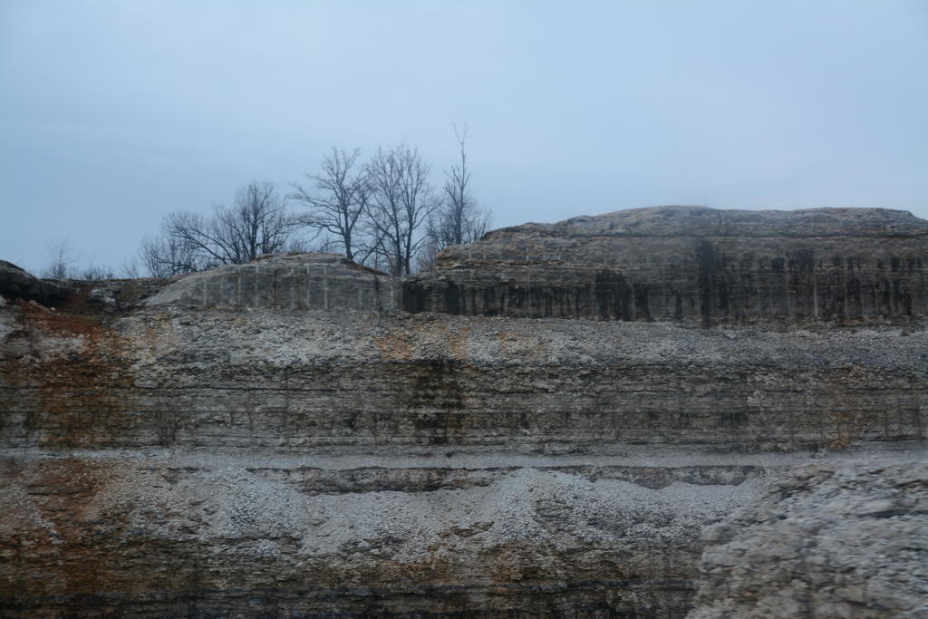DSC_4000.jpg