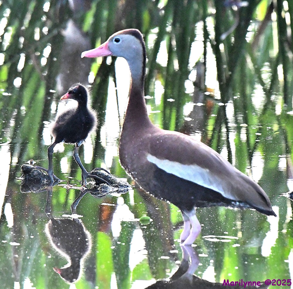 DSC_4000_001.JPG