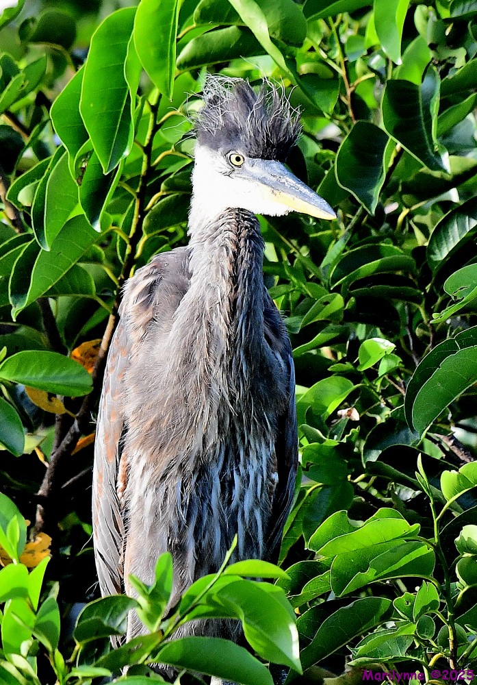 DSC_4001_001.JPG