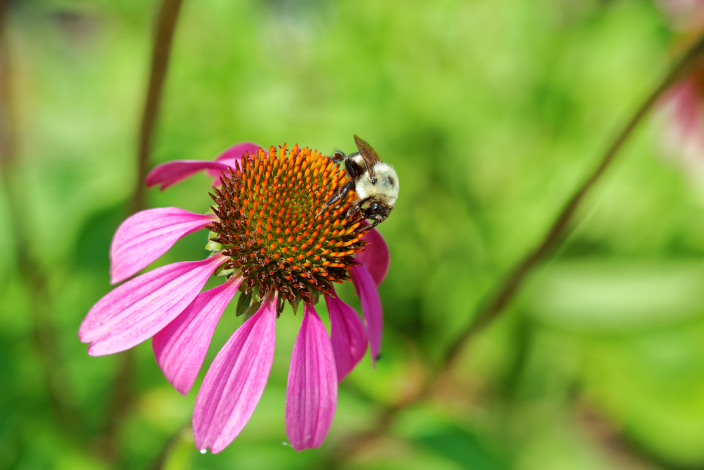 DSC_4011_DxO.jpg