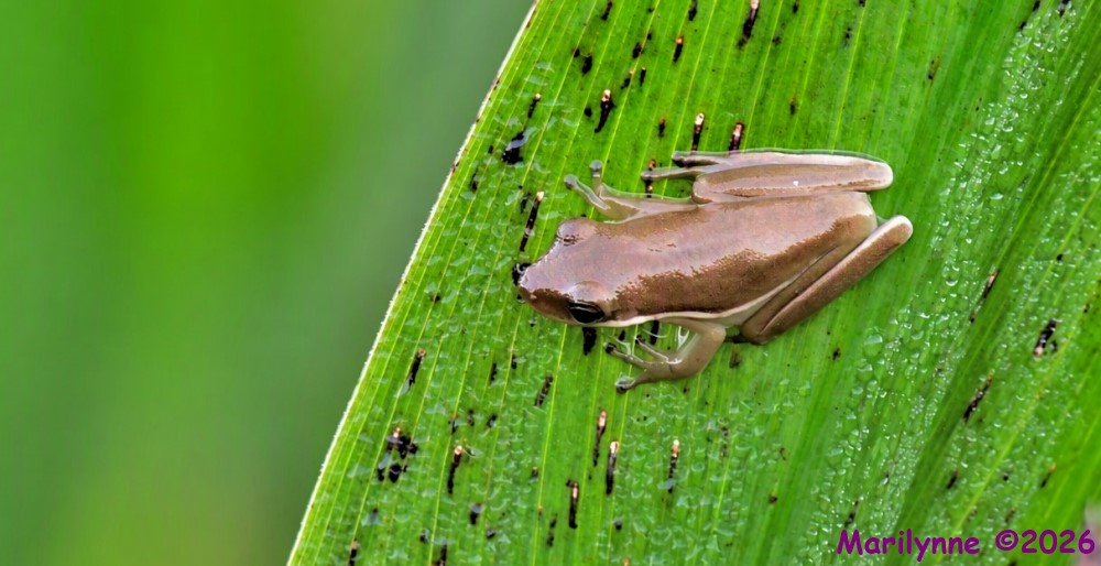 DSC_4012_001.JPG