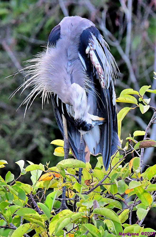 DSC_4019_001.JPG