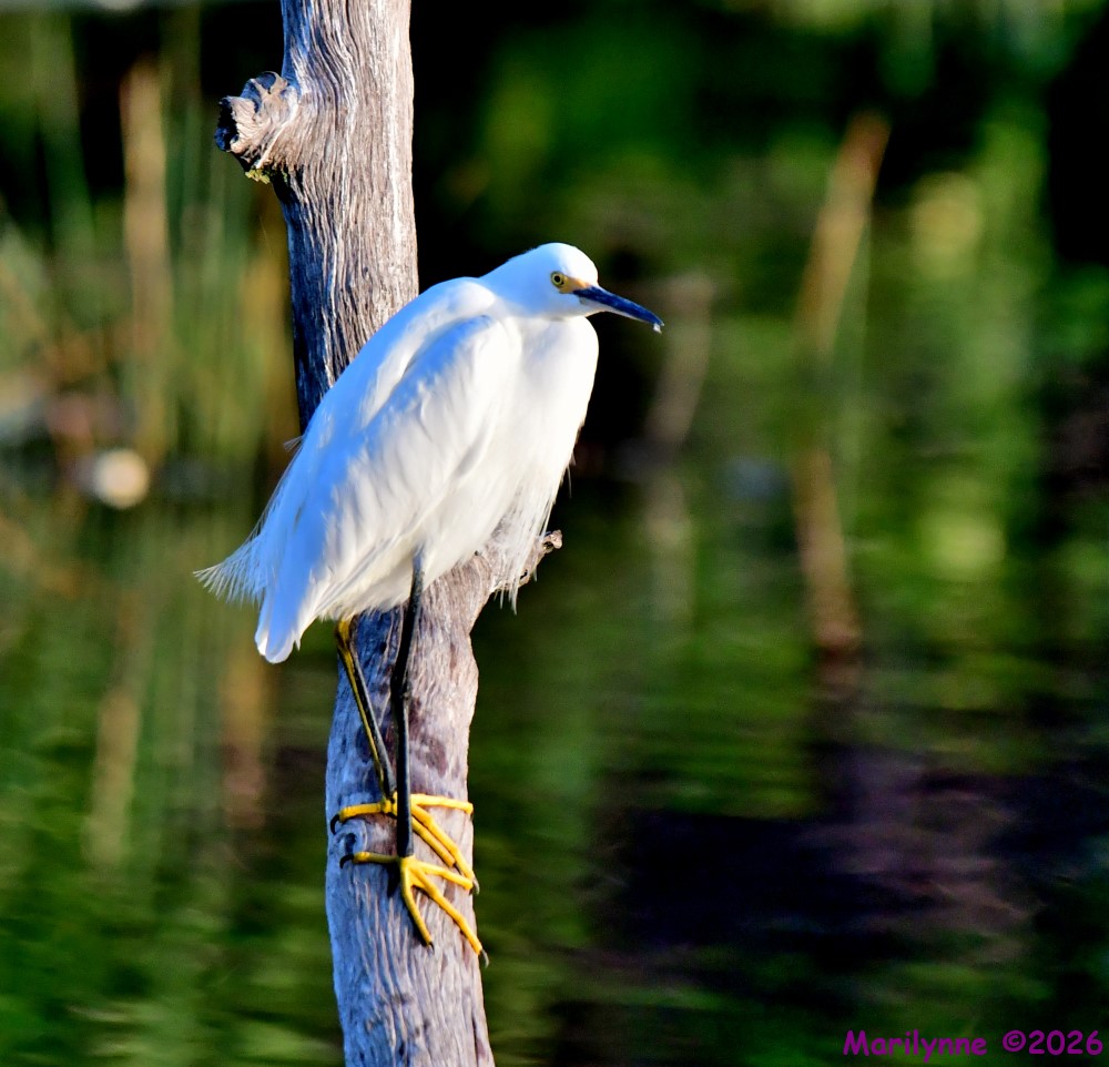 DSC_4021_001.JPG