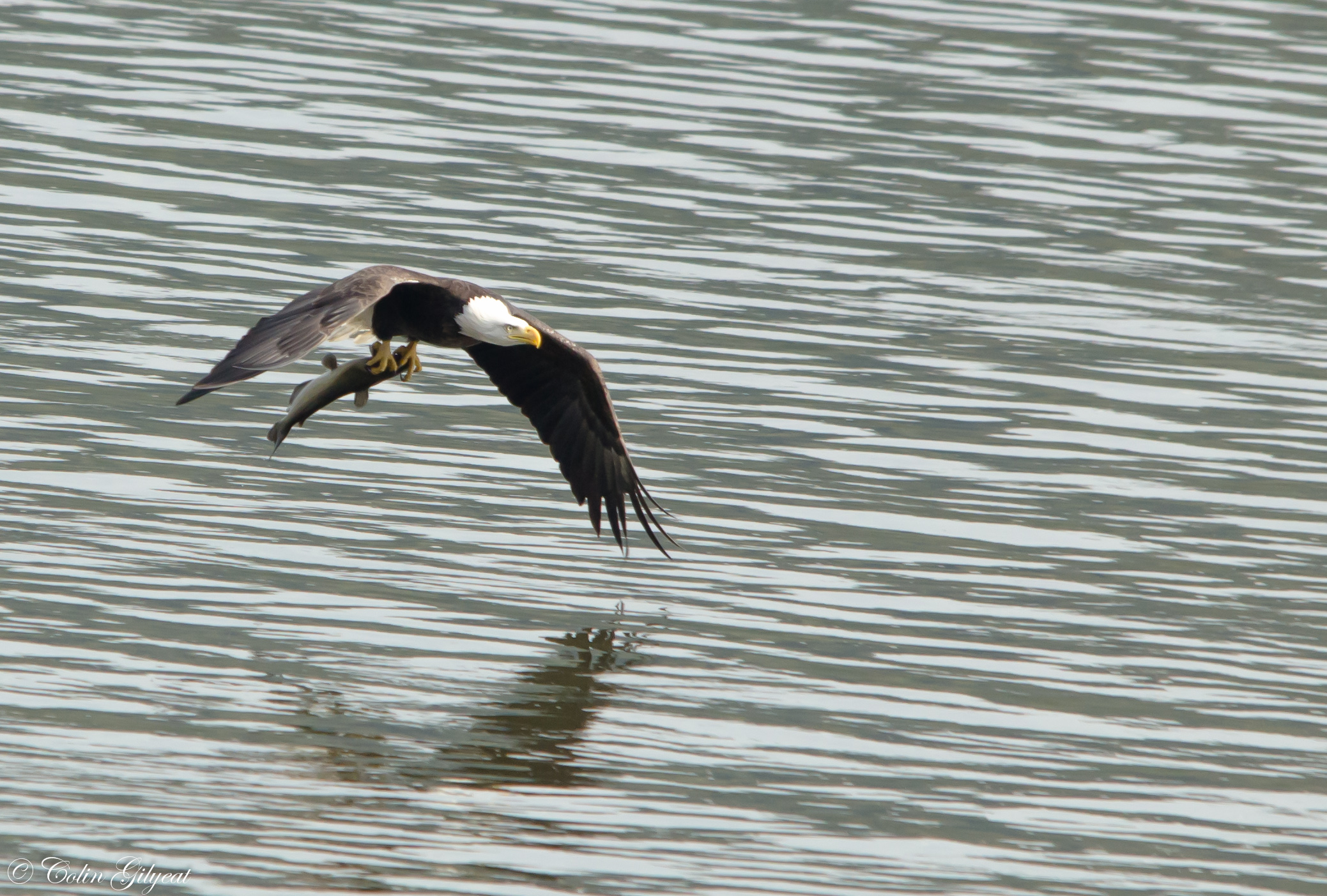 DSC_4024.JPG