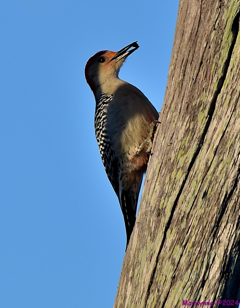 DSC_4024_001.JPG