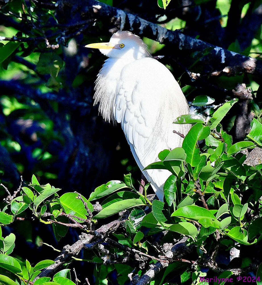 DSC_4024_001.JPG