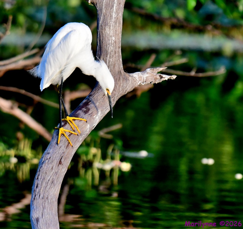 DSC_4024_001.JPG