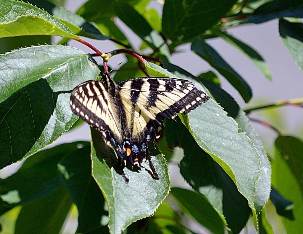 DSC_4028.jpg