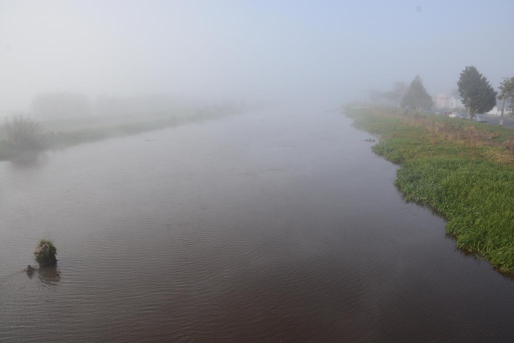 DSC_4028.jpg