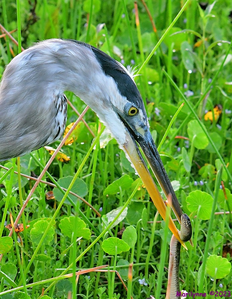 DSC_4029_001.JPG