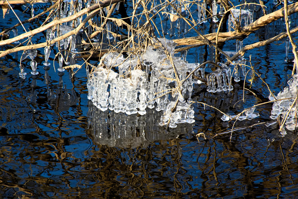 DSC_4032.jpg