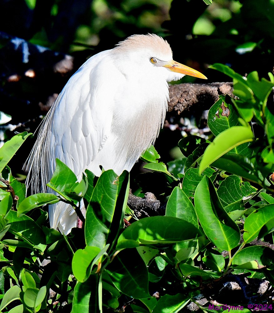 DSC_4034_001.JPG