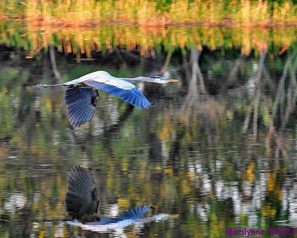 DSC_4037_001.JPG